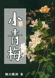 小青梅（np）封面