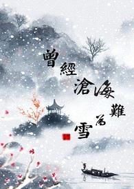 曾经沧海难为雪封面